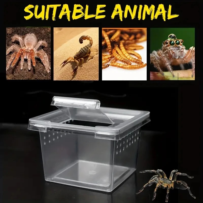 10 boîtes d'alimentation Cages - Lab Incubator avis et prix