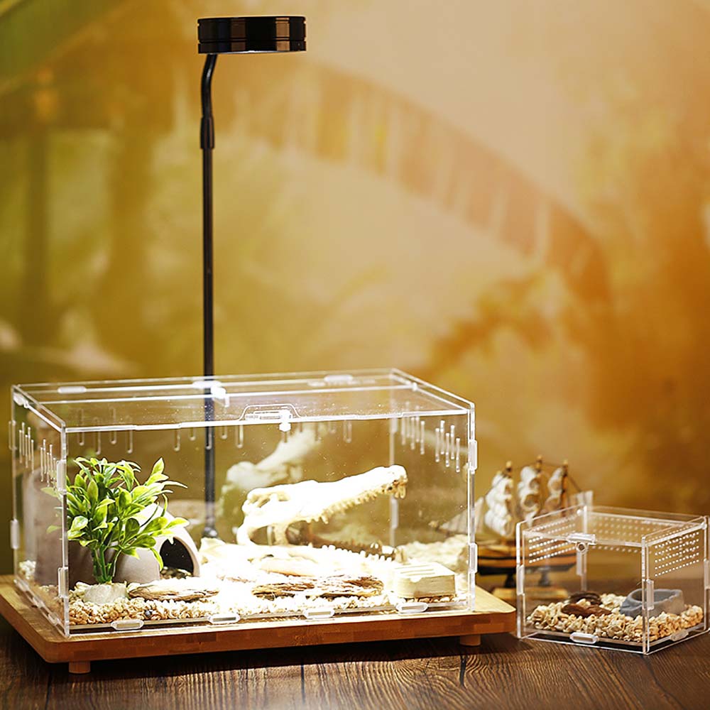Reptile serpents insectes léza - Lab Incubator avis et prix