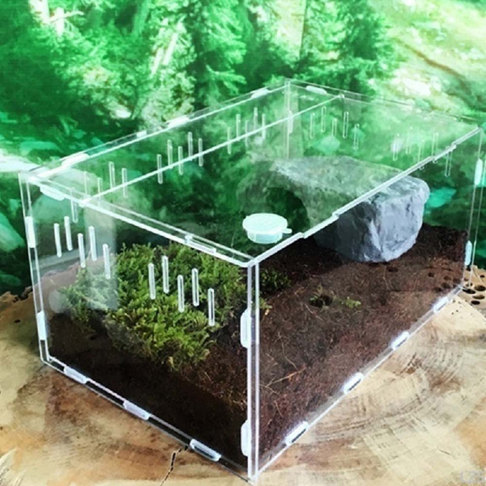 Reptile serpents insectes léza - Lab Incubator avis et prix